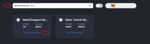 search network to add on metamask