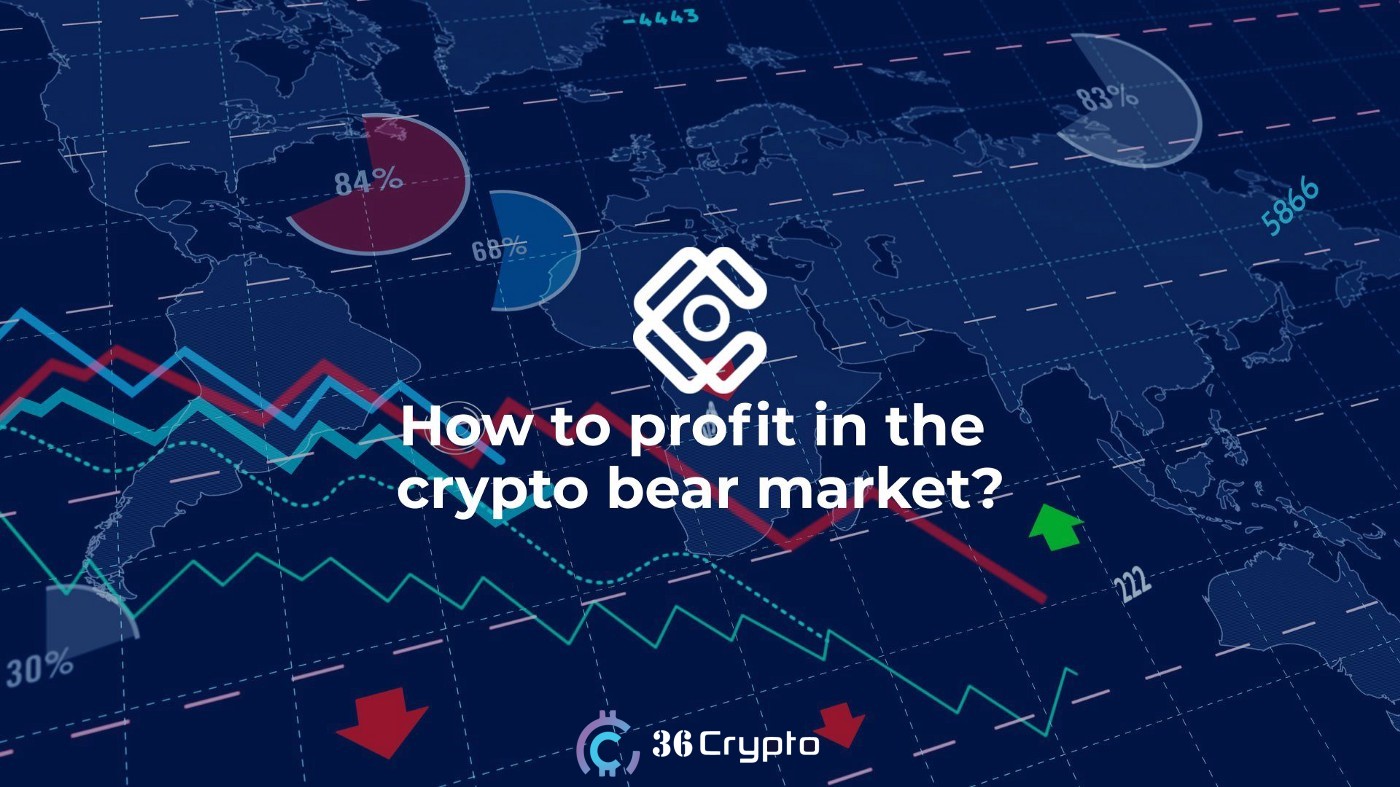 crypto bear term