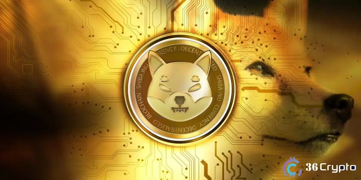 Shiba Inu Holders Continues to Increase Despite Slump in Price