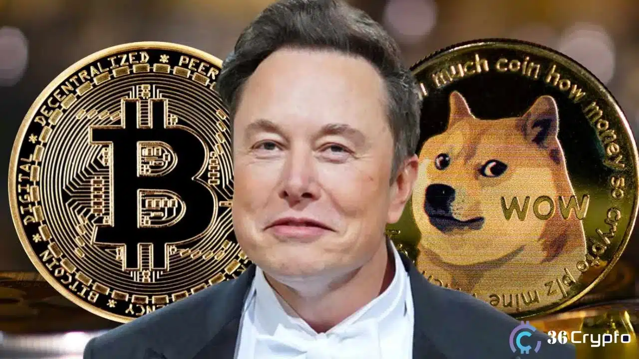Elon Musk Cautions Investors About Investing in Dogecoin