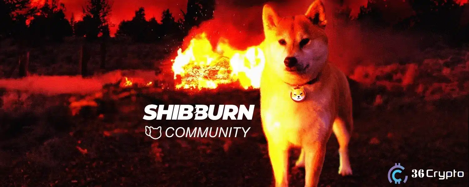 Shib Burn to Launch New Website Soon, Adds More Tools