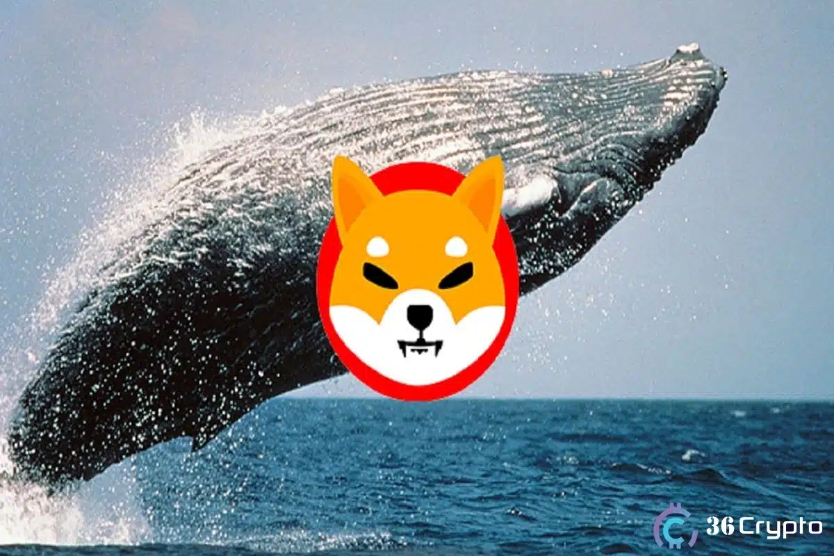 Shiba Inu Whale Accumulates $1.18 Million Worth of SHIB