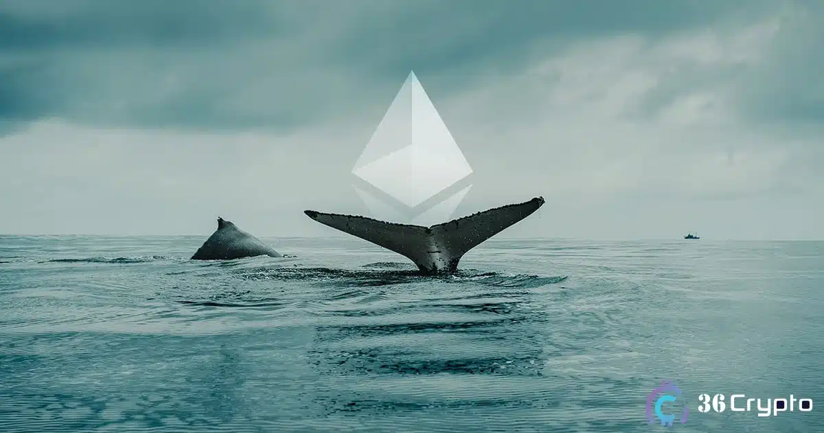 Dormant Ethereum Whale Resurfaces, moves 7,998 ETH