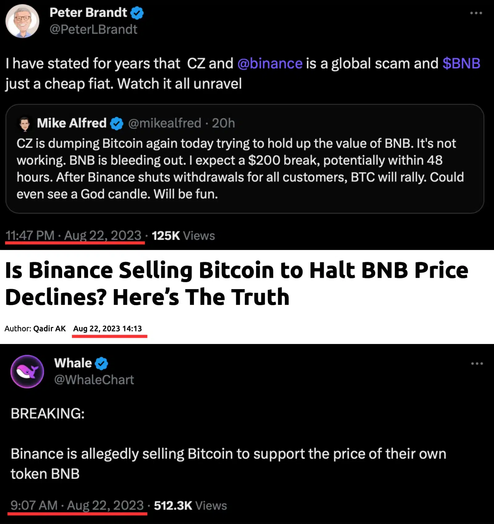 Why Do Reputable Investors Claim Binance Is a Global Scam?