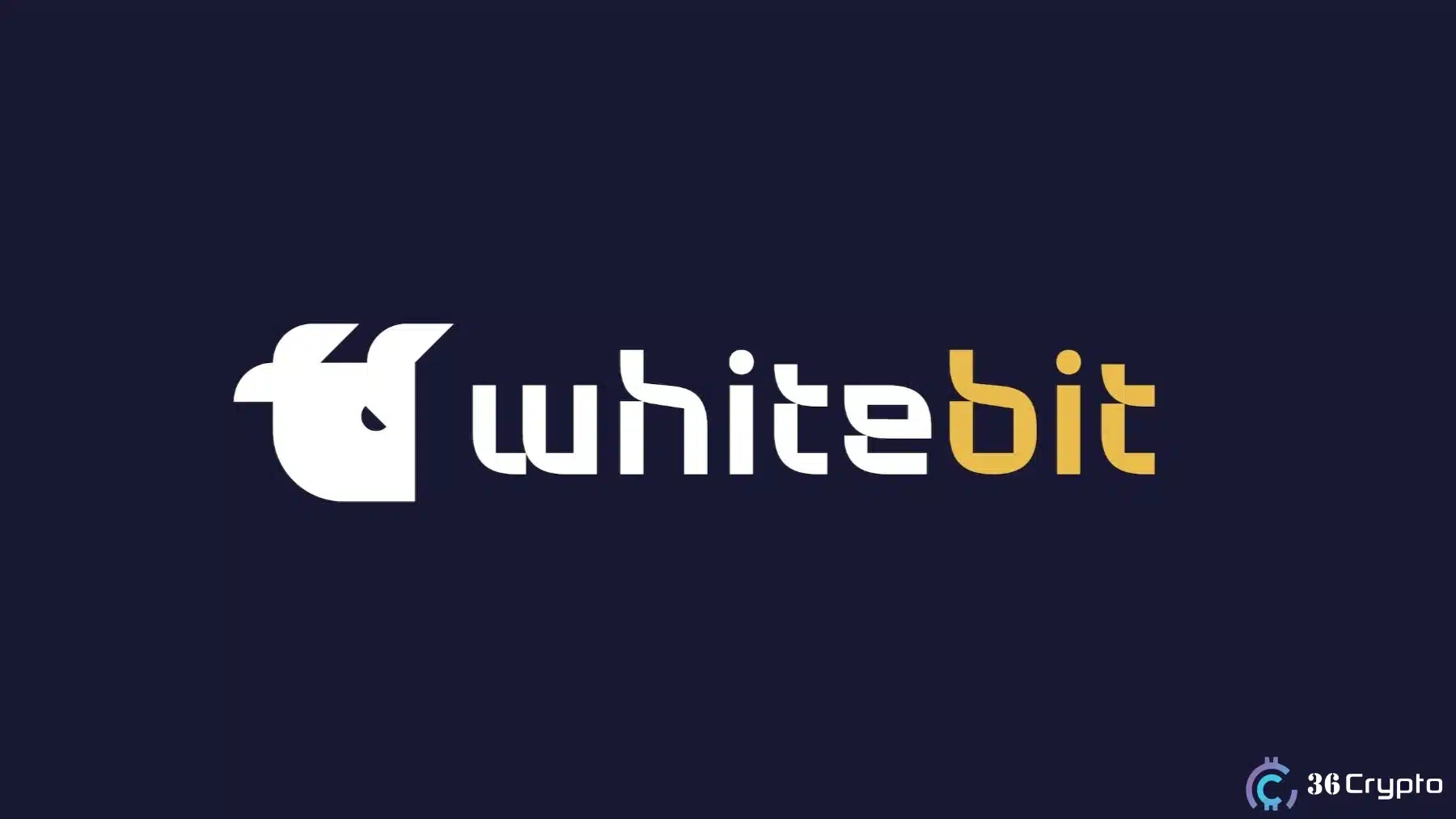 Investigating The FUD Around WhiteBIT: The Truth