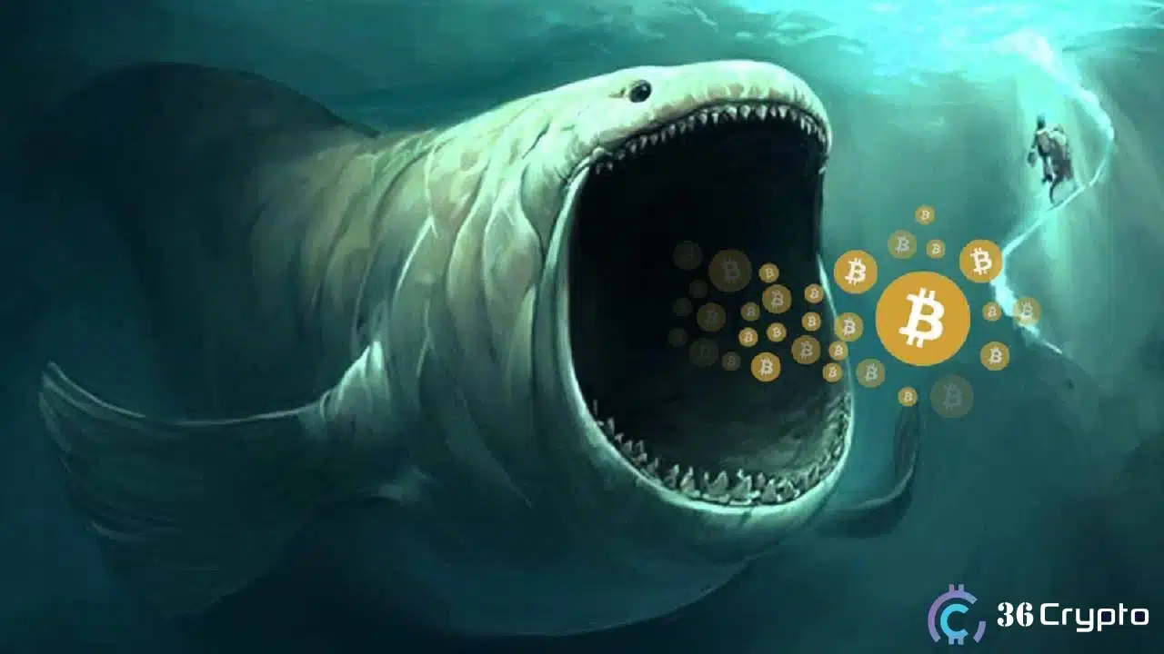 Dormant Bitcoin Whale Reemerges, Moves 2100 BTC to New Address