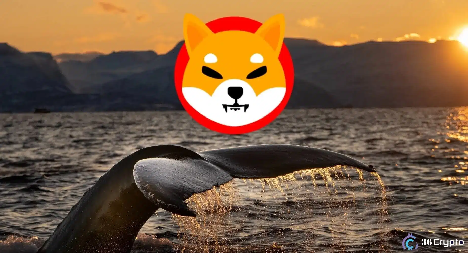 Whales Move 669B SHIB Off Exchanges—Is a Massive Price Surge Coming?