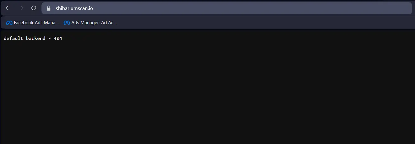 Shibariumscan Website Experiences Downtime
