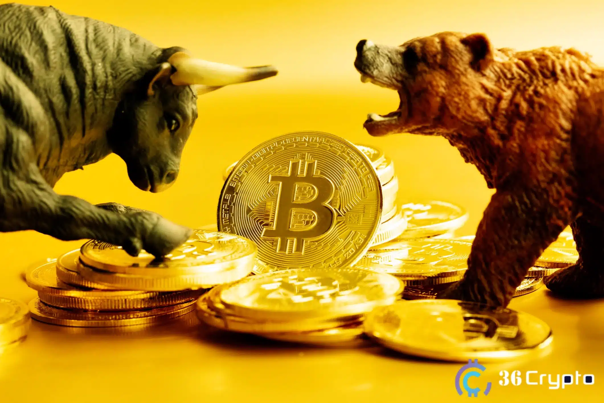 Bitcoin Investors Showing Excitement and Signs of FOMO, Will the Surge Continue?