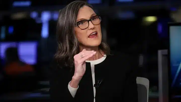 SEC Greenlights Bitcoin ETFs: Industry Game Changer or New Challenges Ahead? 3 Cathie Wood bitcoin etfs