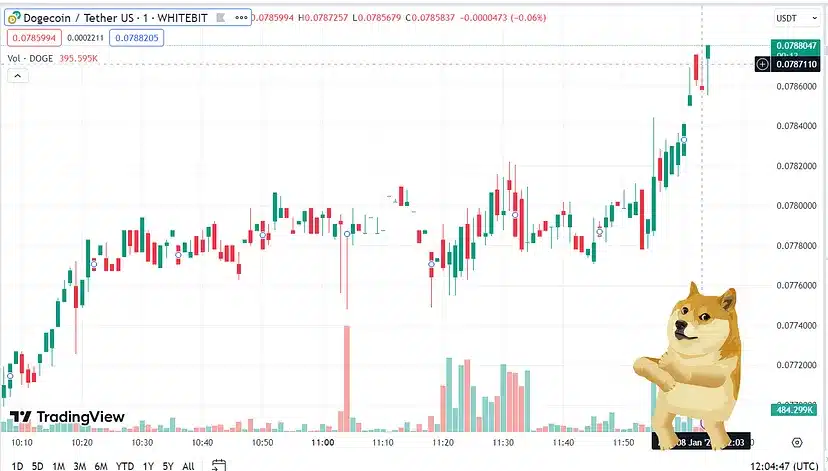 Crypto Horoscopes 2024: Corresponding Cryptocurrencies For Each Month 24 dogecoin price chart