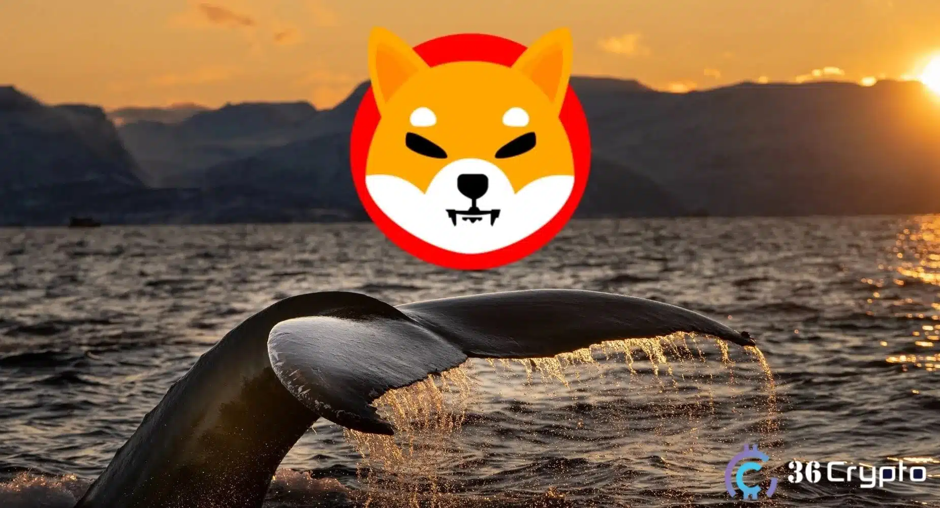 Shiba Inu Whale Activities Spikes as 600 Billion SHIB Moves to New Address
