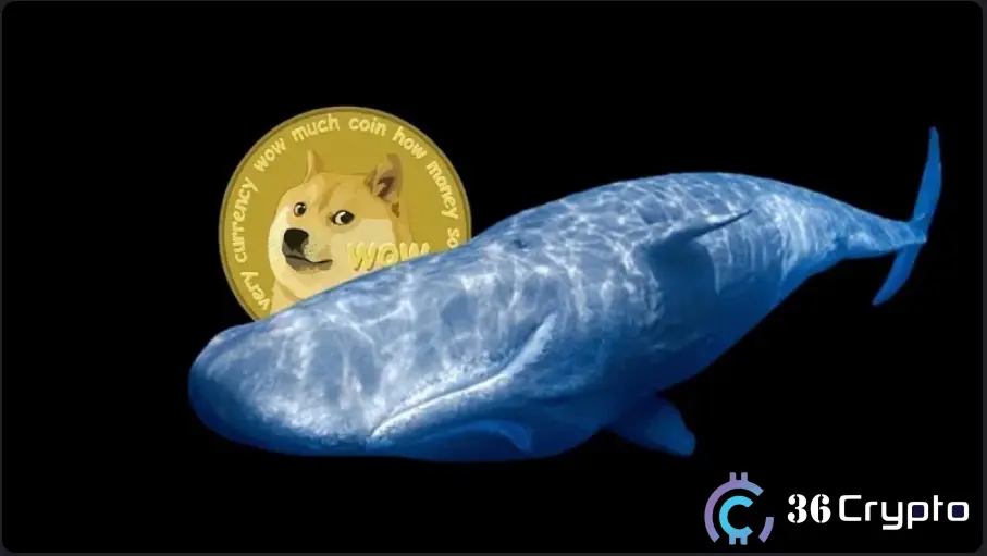 Unknown Whale Sends 100 Million DOGE to Robinhood