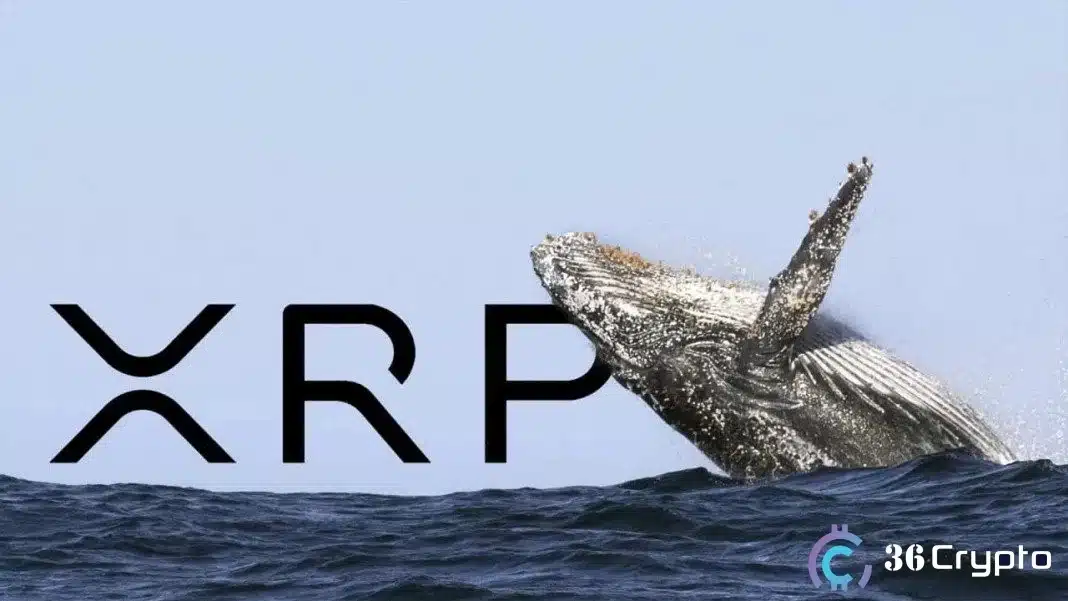 Over 237 Million XRP Transferred in One Day, Triggering Price Decline