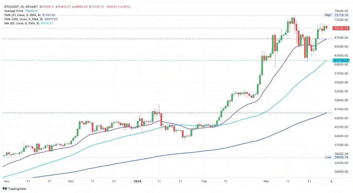 Bitcoin Analysis: Will the Halving Affect its Price? 8 bitcoin price chart