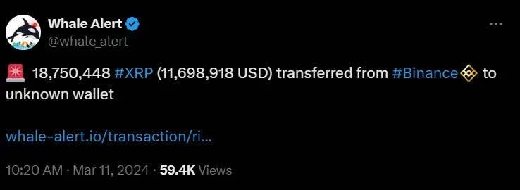 Mysterious Whale Moves Over 30 Million XRP Tokens to Unknown Wallet 