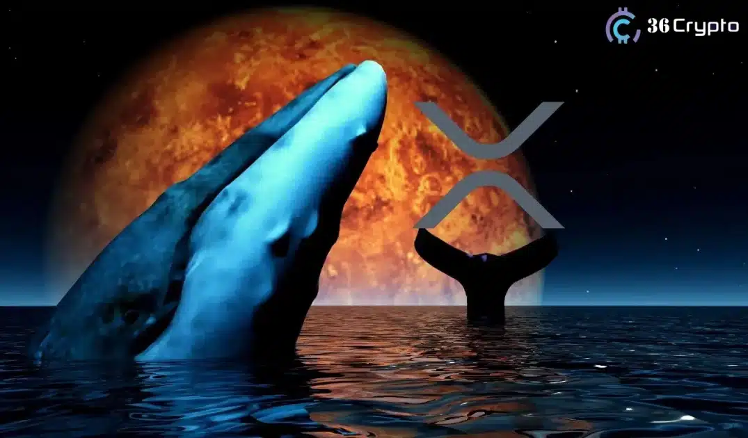 53,000,000 XRP Transfer Ahead of Ripple vs. SEC Deadline – What is Happening? logo
