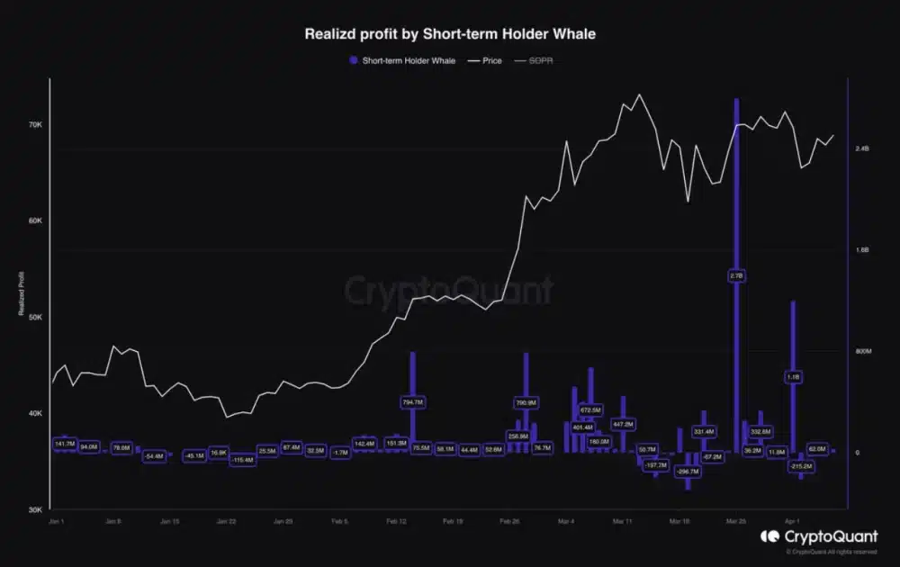 Bitcoin’s $71,000 Swift Recovery: Reasons 