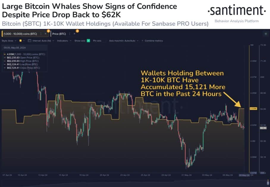 bitcoin large transactions