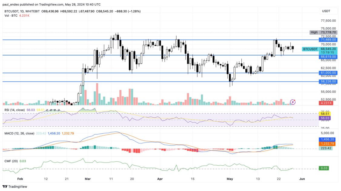 bitcoin daily chart