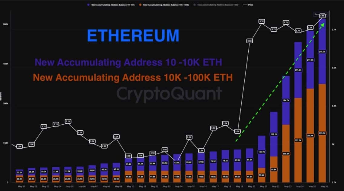 ethereum addresses chart