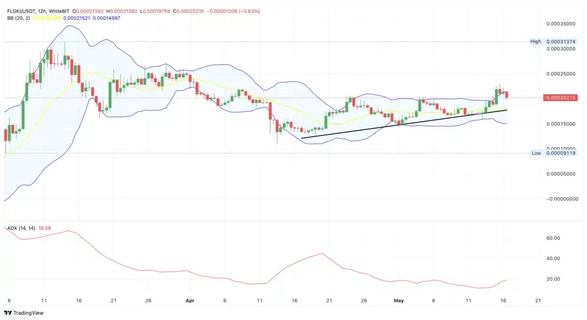 floki price chart
