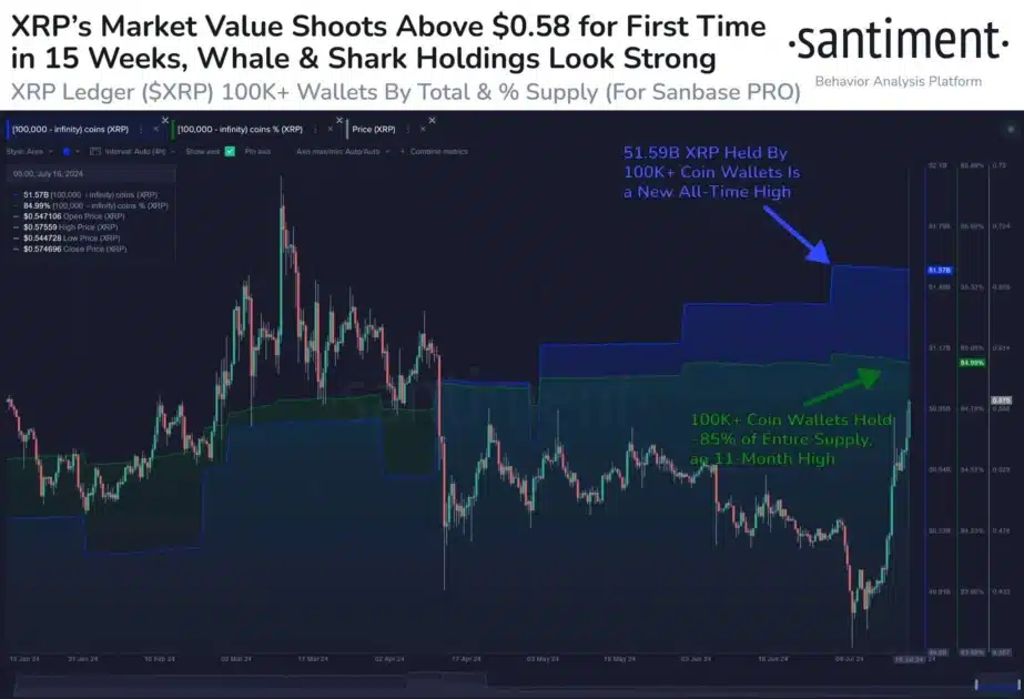 xrp market value