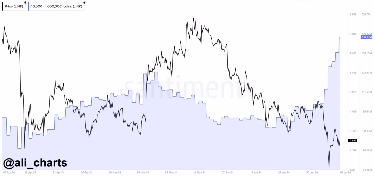Chainlink whales accumulations