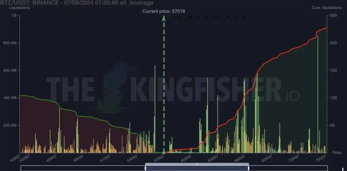 bitcoin whale activity
