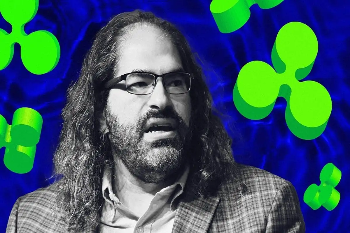 Banks Are Too Slow for XRP? Ripple CTO Exposes Frustrating Reality