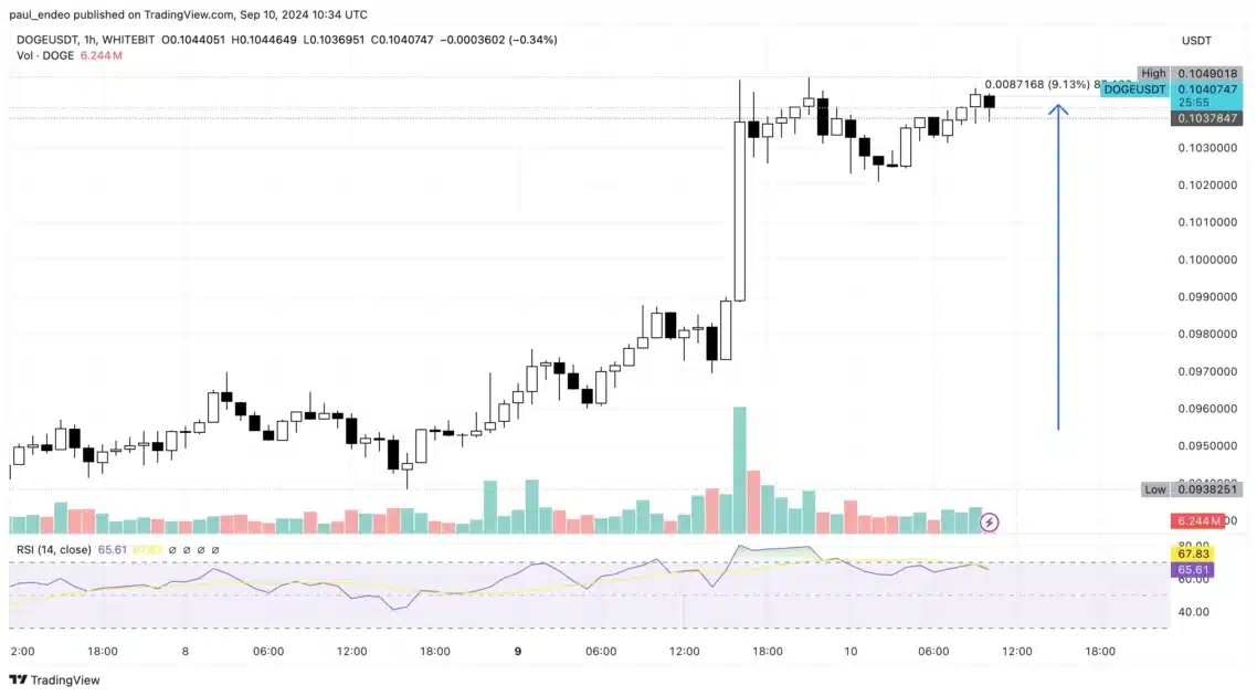 dogecoin daily chart