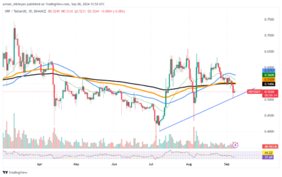 XRP Shows Signs of Recovery as It Rebounds from Key Support Level 1 image 1181