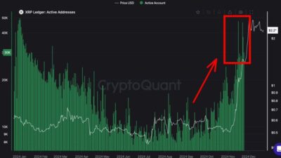 XRP Ledger statistics