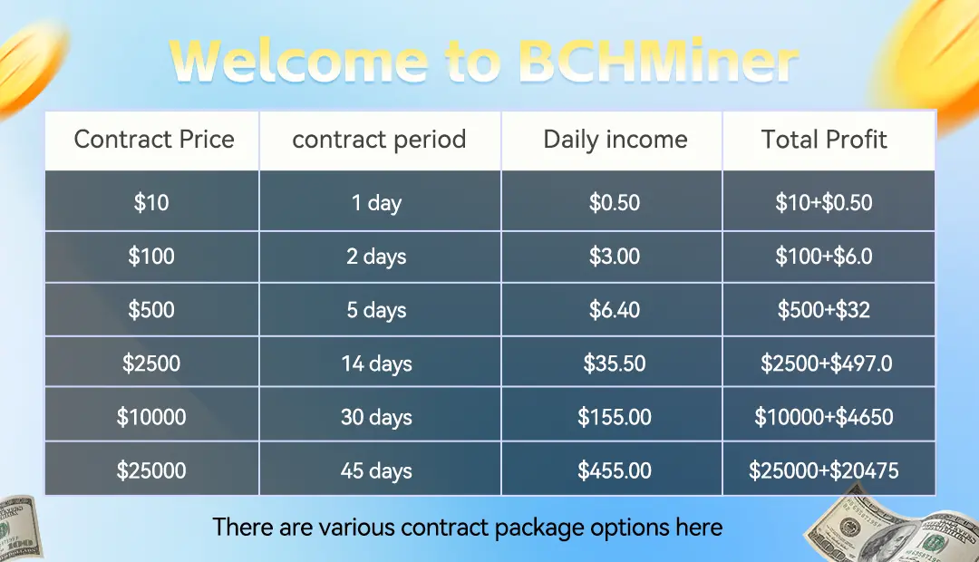 BCH Miner pricing