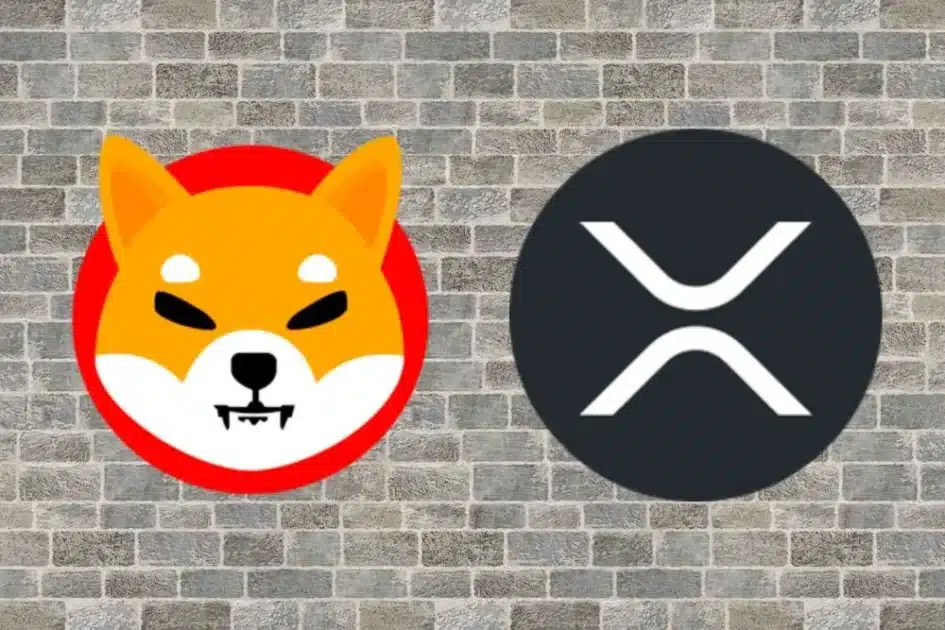 XRP, SHIB, and BAND See Surge in Network Activity, Indicating Potential Price Volatility