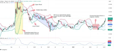 VeChain (VET) Price Prediction 2025-2029: Can VET Reach $0.5 Soon? 1 vechain