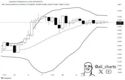 Massive XRP Crash: Here is What Happened 1 XRP Chart