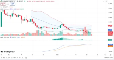 Top 5 Must-Have Crypto in February: Do Not Miss Out 5 CHILLGUY chart