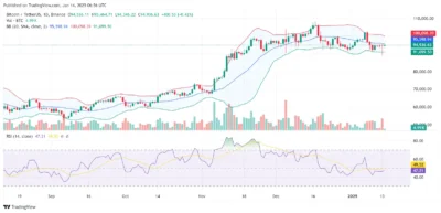 Bitcoin's Resurgence: CZ Encourages Investors to "Buy the Dip" as BTC Hits $96,515 2 Bitcoin Price Chart