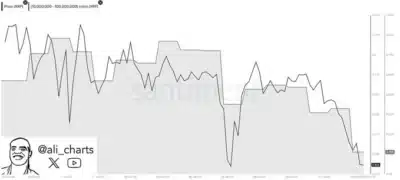 XRP 