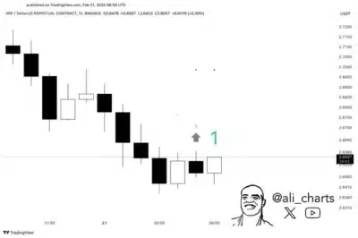 GkSrCMbWwAA2vf1 convert.io