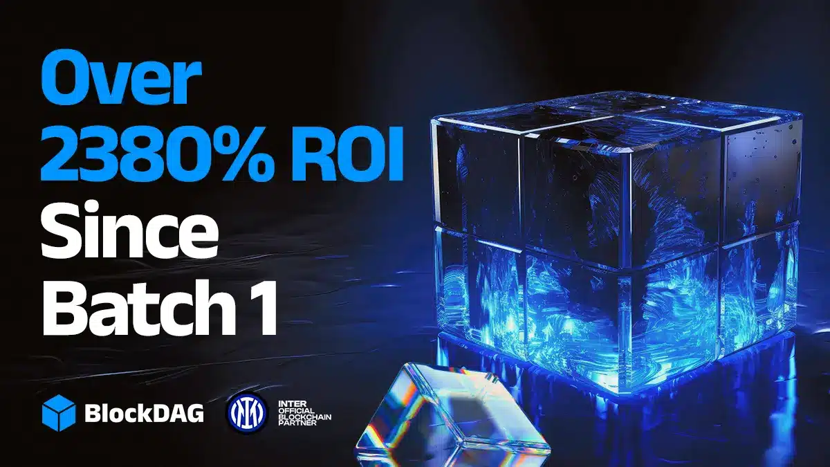 over 2380% rol since batch 1