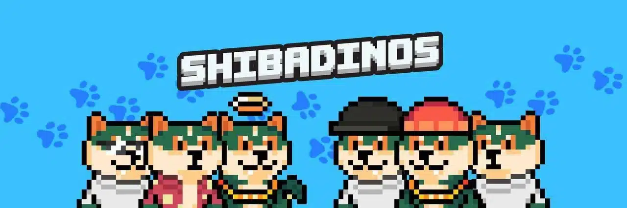 shibadino pr