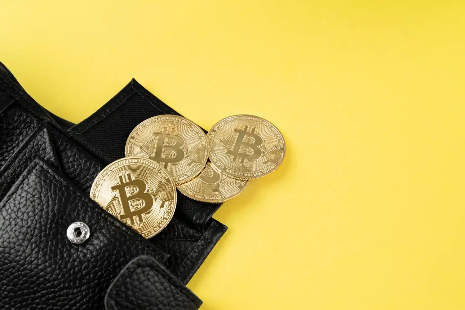 Hot vs. Cold Crypto Wallets: What Every American Investor Needs to Know in 2025