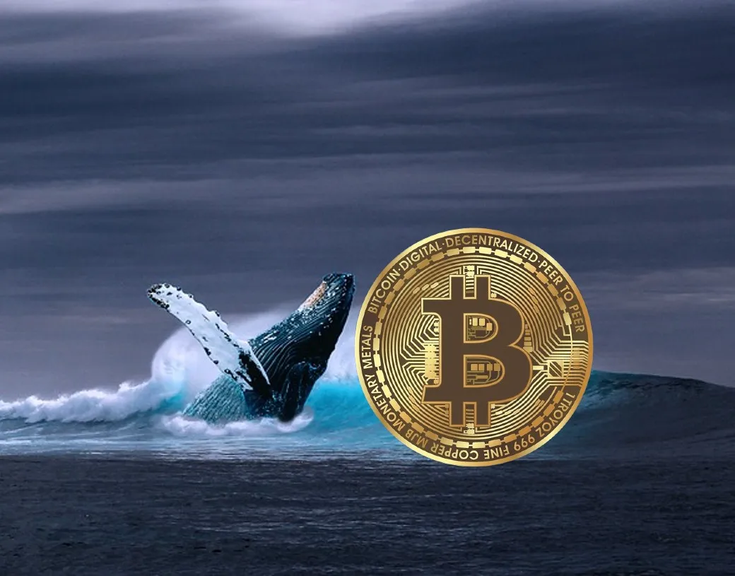 Binance Whales Secretly Fuel Bitcoin Surge—Coinbase Indicator Reveals All!