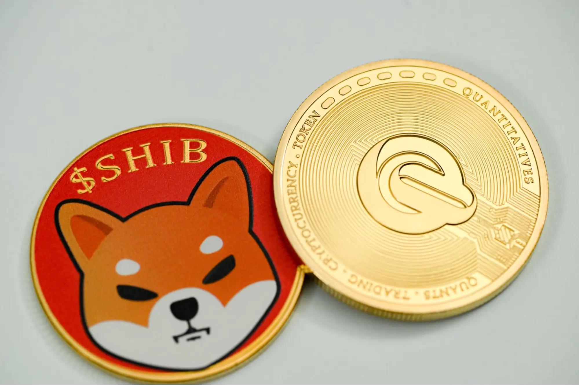 Shiba Inu (SHIB)
