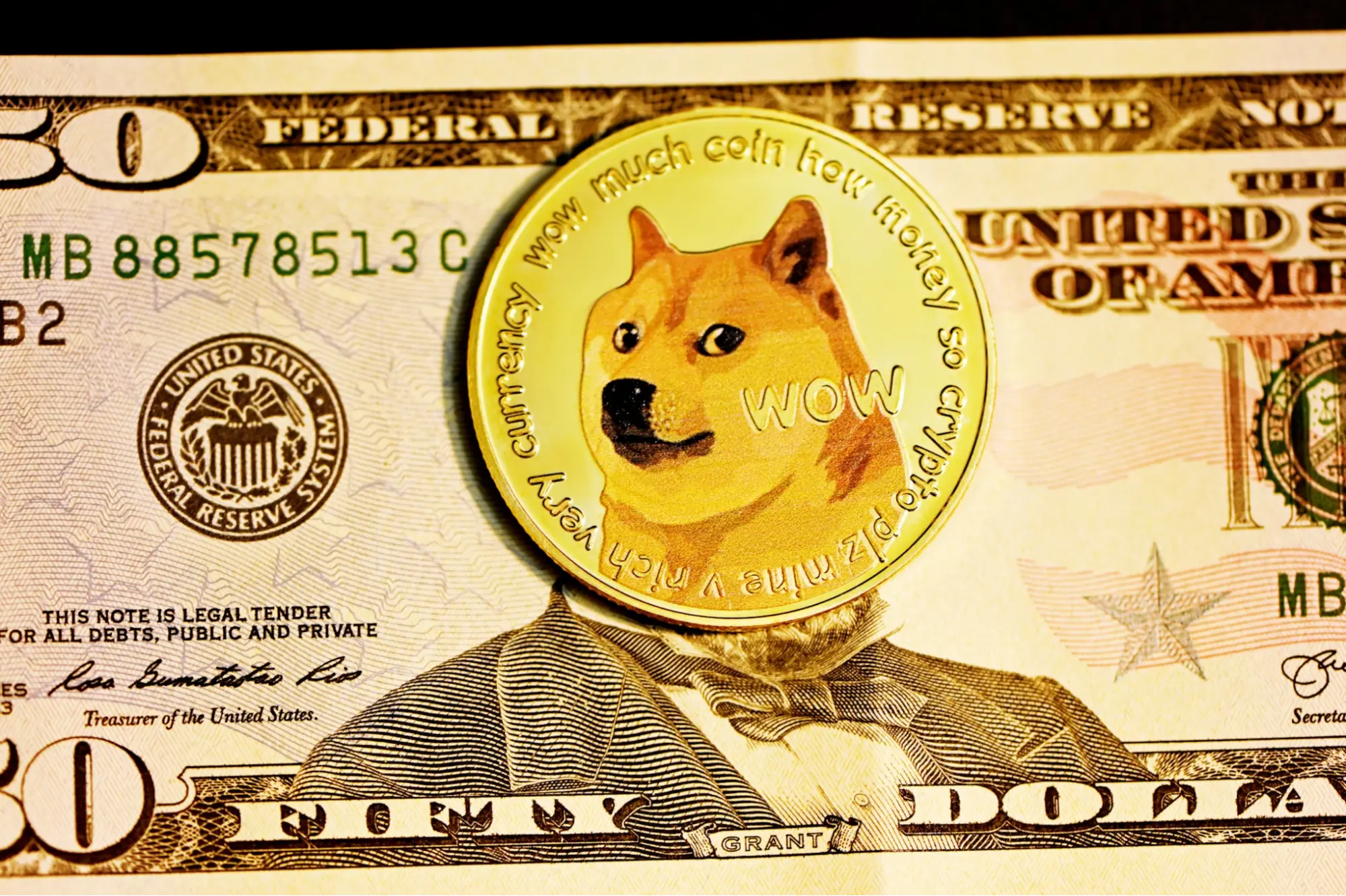 DOGE 