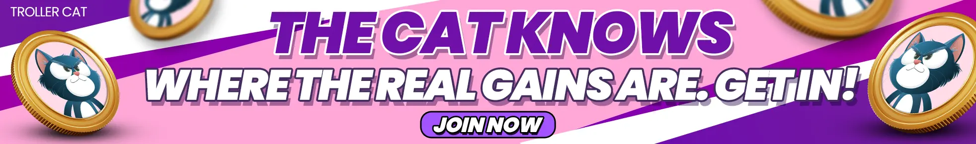 The cat knows where real gains are