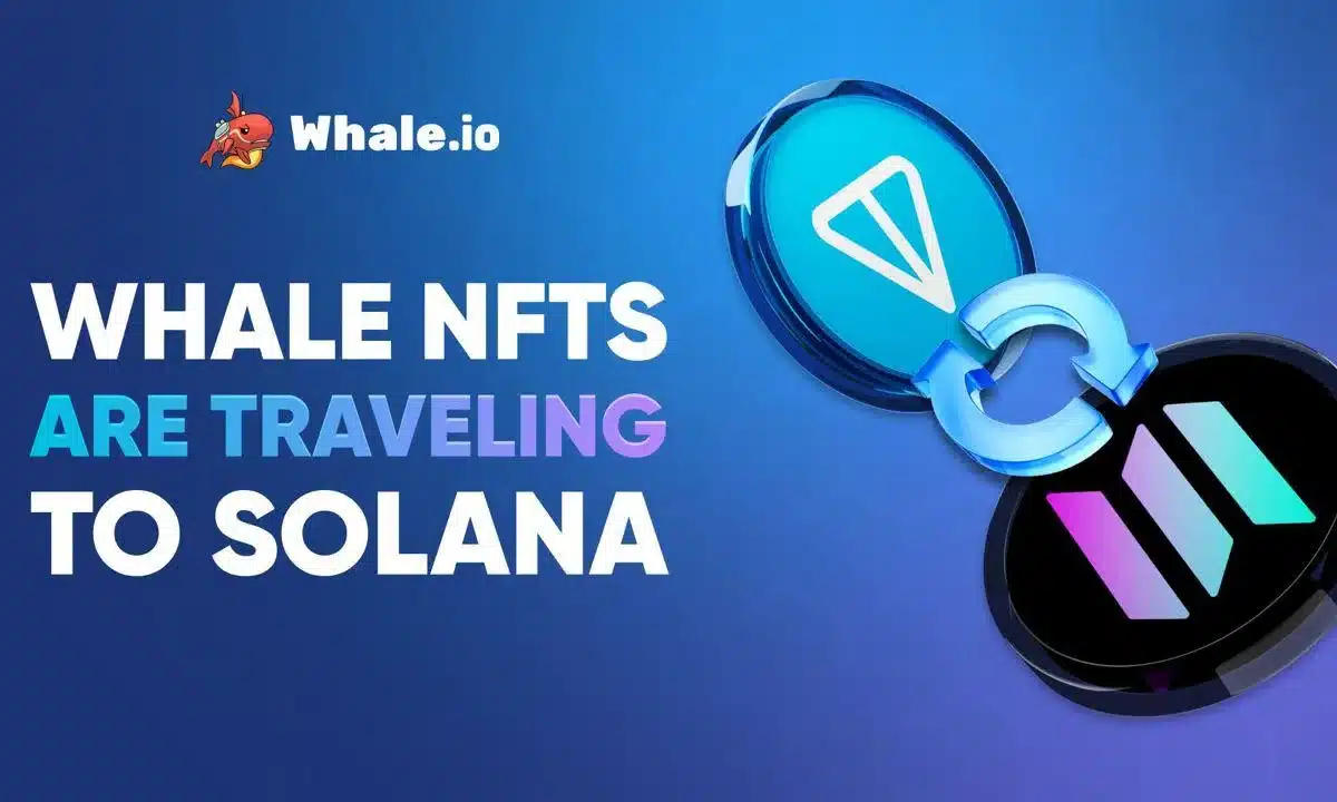 Whale NFT Bridge Goes Live: TON to Solana Migration Launches on Bridgemedaddy.com Whale NFT Bridge Goes Live: TON to Solana Migration Launches on Bridgemedaddy.com