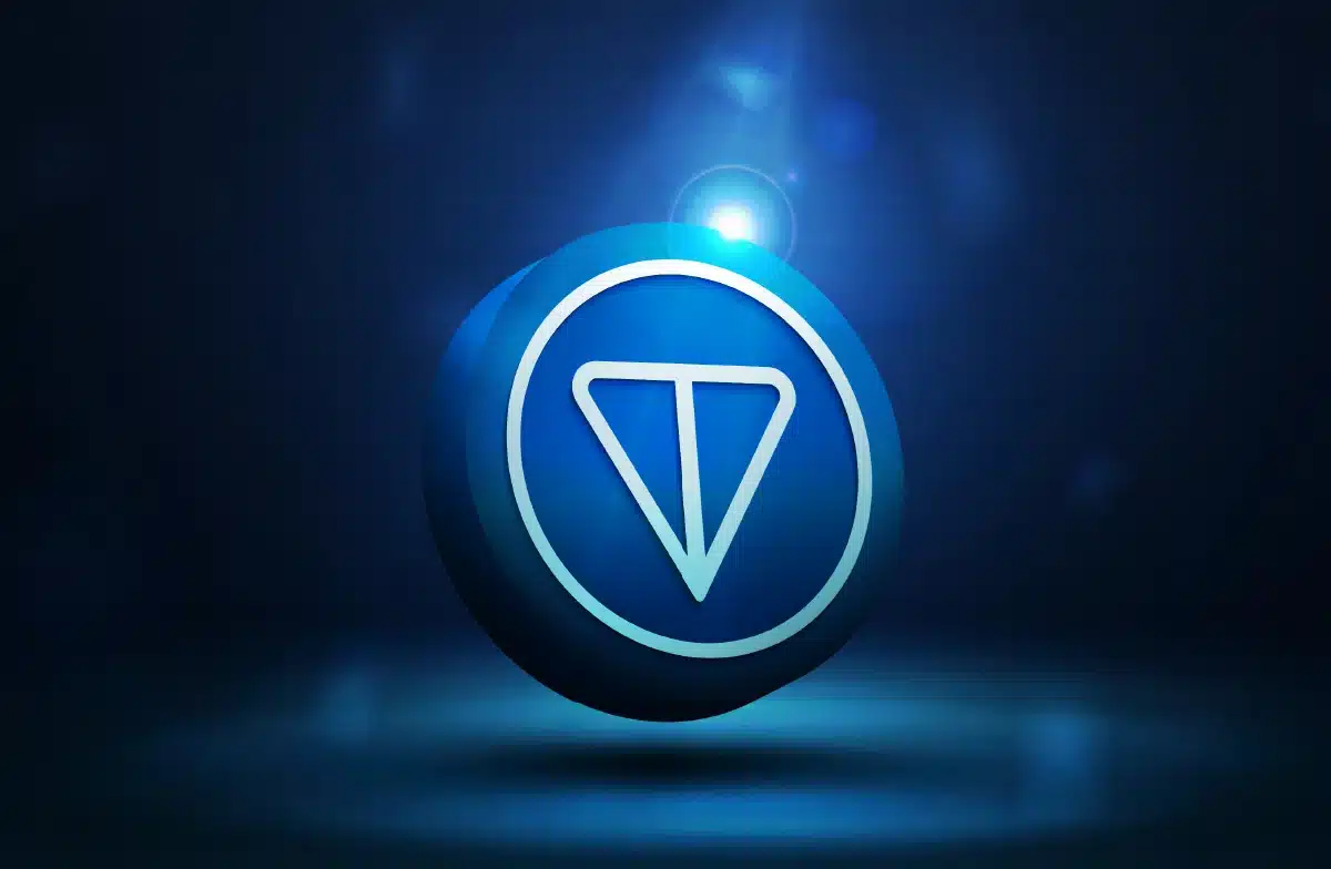 Whale Activity in Toncoin Spikes Over 111% as Market Rebounds